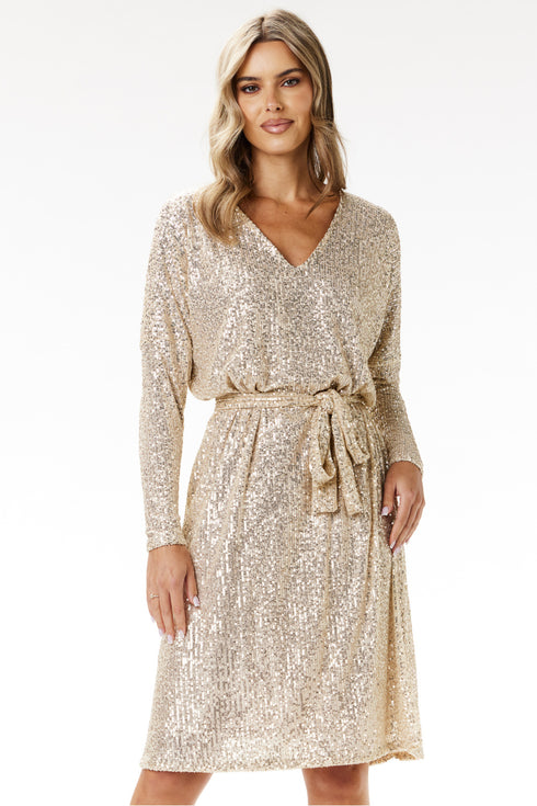 Evening dress model 204285